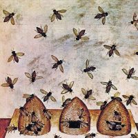 "Nel foro volano le api d'oro" (Teocrito) - Installazione di Raffaele Curi
