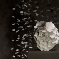 Sabine Pagliarulo - Olga Niescier. Seeds / Semi