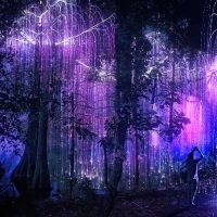 In Wonder(is)land - Maxi-installazioni artistiche immersive