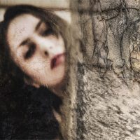 Nina Maroccolo. La rivoluzione degli eucalipti
