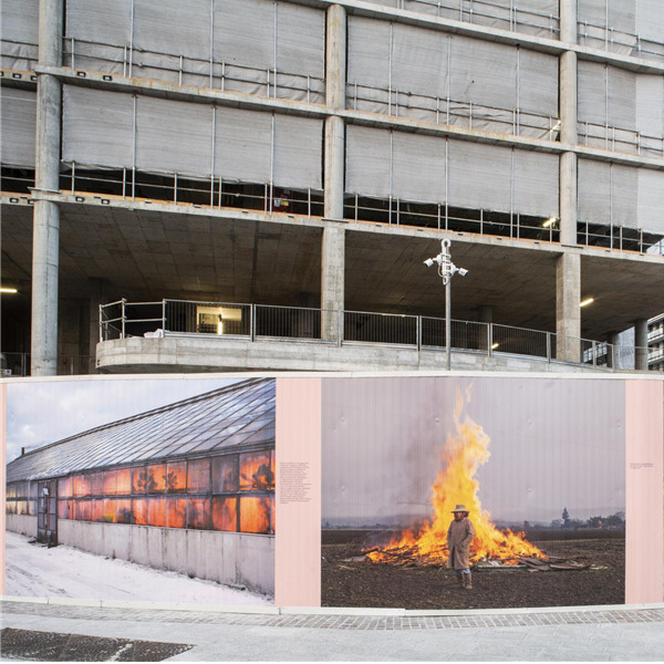 Visita guidata alla mostra "Human nature" con Lucas Foglia