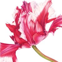 Di fiore in fiore - Mostra collettiva