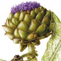 Di fiore in fiore - Mostra collettiva