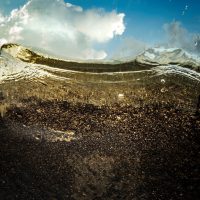 Dreamland - Mostra collettiva