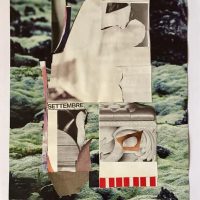 Nicola Stradiotto. Collage: tra metafora e metonimia
