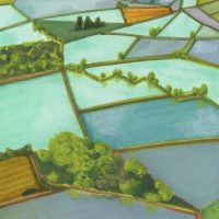 Tracce d’acqua. Disegno e paesaggio dal lago alla risaia