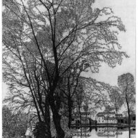 Tracce d’acqua. Disegno e paesaggio dal lago alla risaia