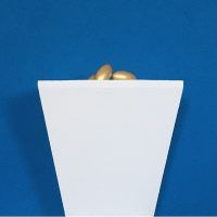 Stefano Paulon. Geometrie teofaniche