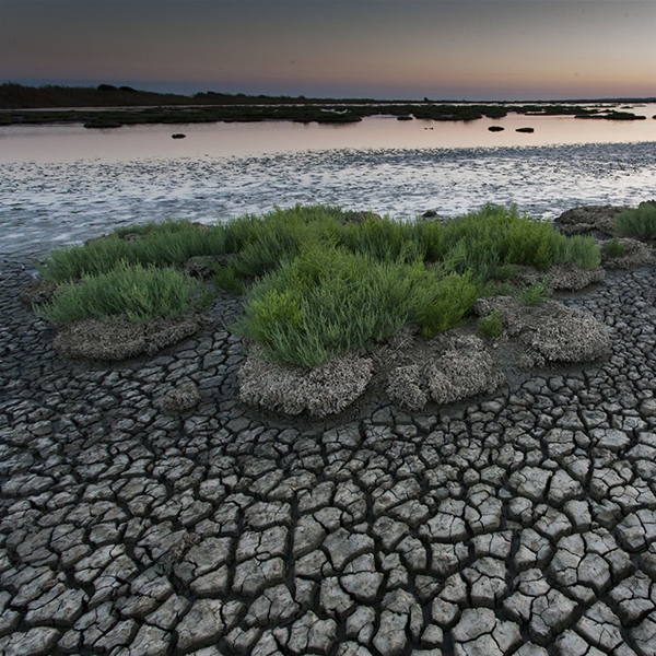 Wetlands: le terre d’acqua. Fotografie di Gabriele Espis