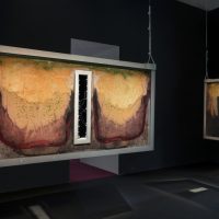 Anicka Yi. Metaspore