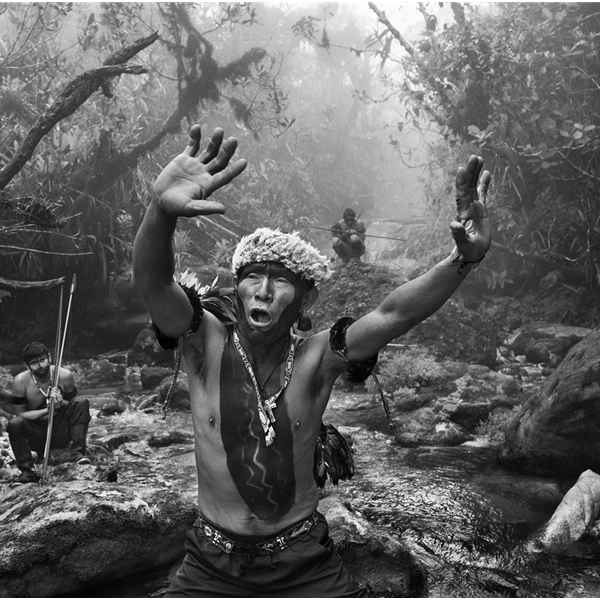 Sebastião Salgado. Amazônia