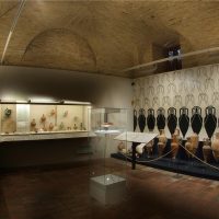 Al MUVIT la nuova sezione museale dedicata agli Etruschi