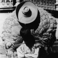 Tina Modotti. Donne, Messico e libertĆ