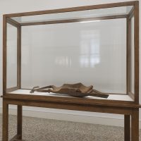 Joseph Beuys. Finamente articolato