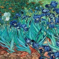 Lezioni di storia dell'arte: Vincent van Gogh