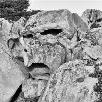 Beppe Fumagalli. Le rocce viventi della Sardegna