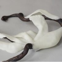 Dominique Koch - Mostra personale