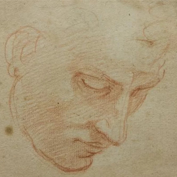 Michelangelo Buonarroti e la Cappella Sistina nei disegni autografi di Casa Buonarroti