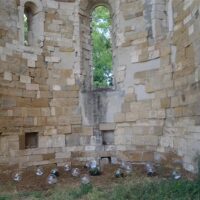 BadiArt 2022 - Arte nei circuiti dellāantica Badia