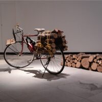 Simon Starling. Metamorfuoco. Sotto la luce di Tintoretto