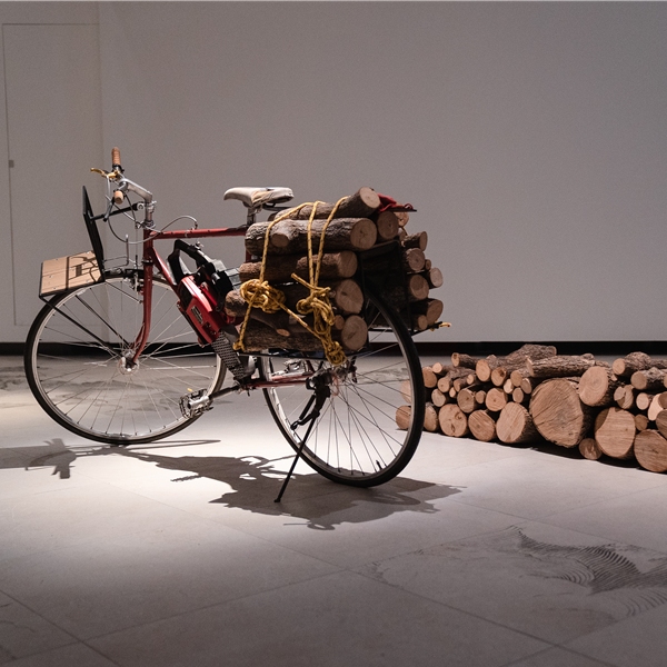 Simon Starling. Metamorfuoco. Sotto la luce di Tintoretto