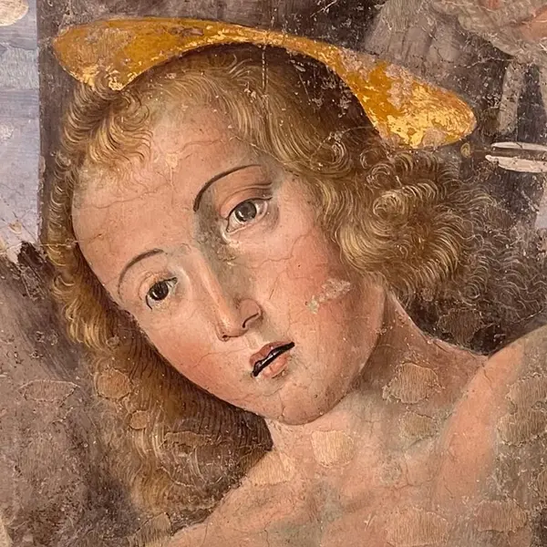 Cagli e Federico - Tra documenti d'archivio e dipinti di Giovanni Santi