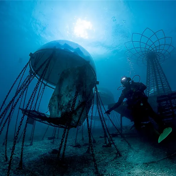 Lorenzo Terraneo. Le meraviglie del mondo sommerso
