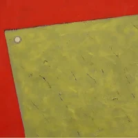 Luca Giacobbe. Coniugare la pittura
