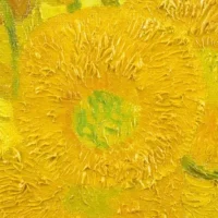 Presentazione libro: "Vincent Van Gogh. Il giallo della follia"