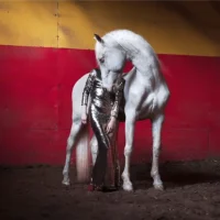 Incontro: "L'animale pensante: arte e animalitĆ "