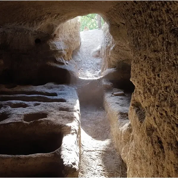 Incontro: "Le tombe di Trocchi a Bomarzo. Tutela e ricerca in una necropoli rupestre"