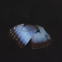 Sophie Ko e MƔrta Kucsora. Questo caos del tempo