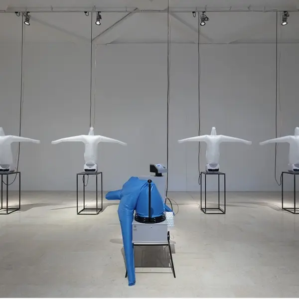 All those stuffed shirts. Installazione di Anna Franceschini