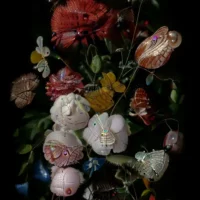 Mat Collishaw. Alluvion