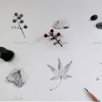 Workshop di disegno: "Disegnare la natura"