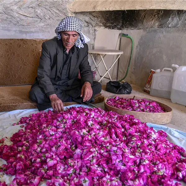 La Rosa di Damasco. Dalla Siria a Torino