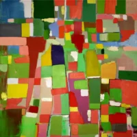 Paolo Manazza. La forma dei colori