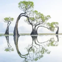 Barbara Dall'Angelo. Tell me the truth about Nature