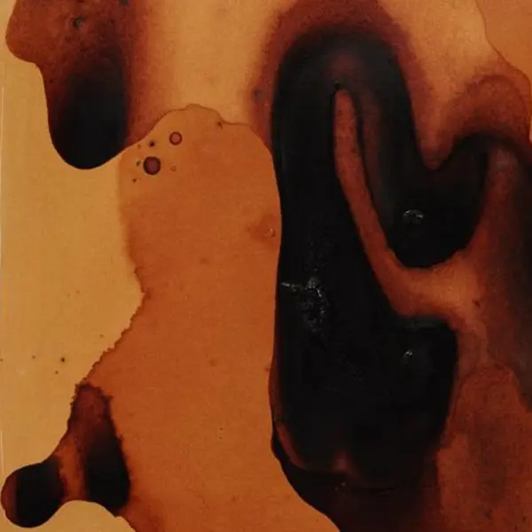 Giulio Saverio Rossi. I follow rivers