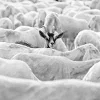 Percorsi. Fotografie di Silvano Ruffini