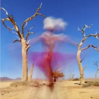 Maryam Eisler. Intimate landscapes