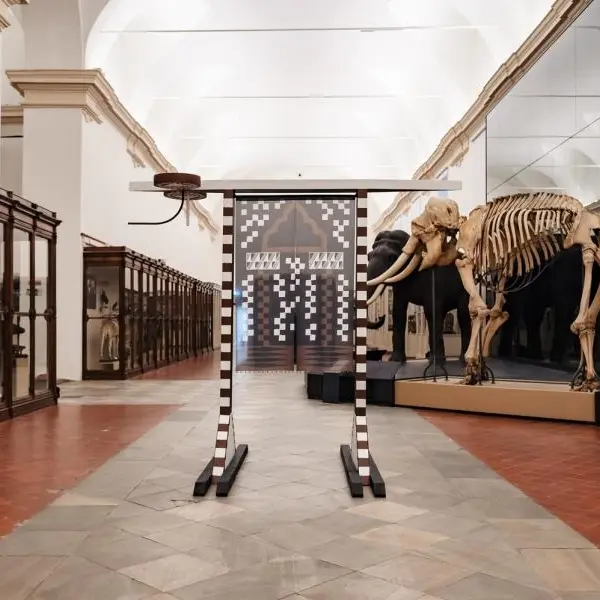 L'opera "Arco elefante" di Guerrilla Spam al Museo di Scienze Naturali di Torino