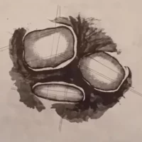 Progetto 8ā, sintonia e segni di otto artisti contemporanei