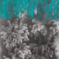 Eccentriche nature - Mostra collettiva