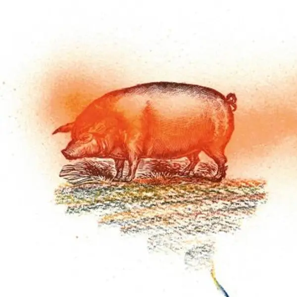 Nel vento della Poesia: cibo e bestiario nei libri e nelle opere di Alberto Casiraghy