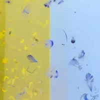 Alfredo Pirri. Luogo pensiero luce