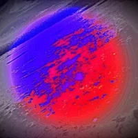 Giko. Omaggio a Higgs