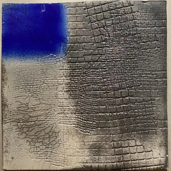 Miriam Selvetti. Oltre il segno