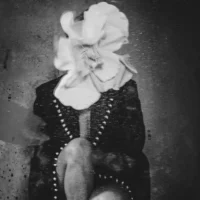 Elisa Gambalonga. A volte nell'ombra
