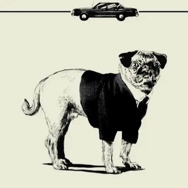 Cinebestiario... cani, gatti & Co.